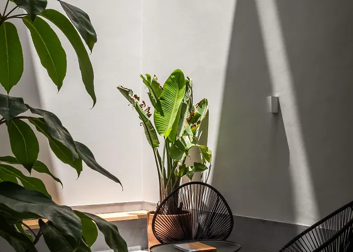 Bypillow La Sal Hotel Cadiz